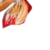 〰