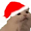 🎅