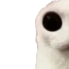 🙀