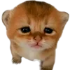🥺