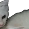 🤣