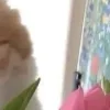 🤩