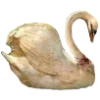 🦢