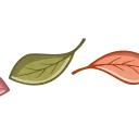 🍁