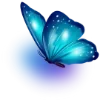 🦋