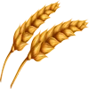 🌾