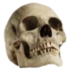 💀