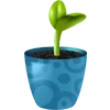 🌱
