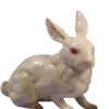 🐰