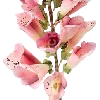 💐