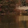 🍂