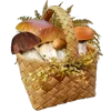 🍄