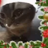 🎄