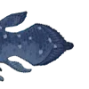🐟