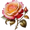🌷