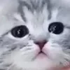 ☹️