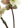🌸