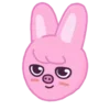 🐷