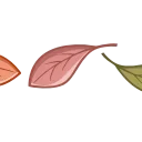 🍁