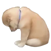 😔