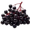 🍇
