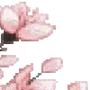 🌸