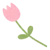 🌷