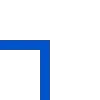 🔹