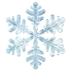 ❄️