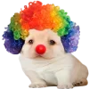 🤡