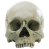 💀