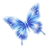 🦋