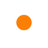 🟠