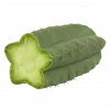🌵