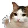 👍