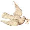 🕊