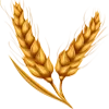 🌾