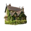 🏡