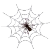 🕸