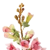 💐