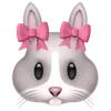 🐰