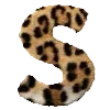 🐆