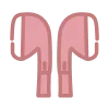 🎧