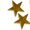 🌟