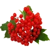 🍇