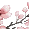 🌸