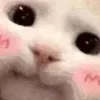 🥰