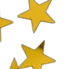 🌟