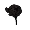 🌹