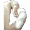 🤍